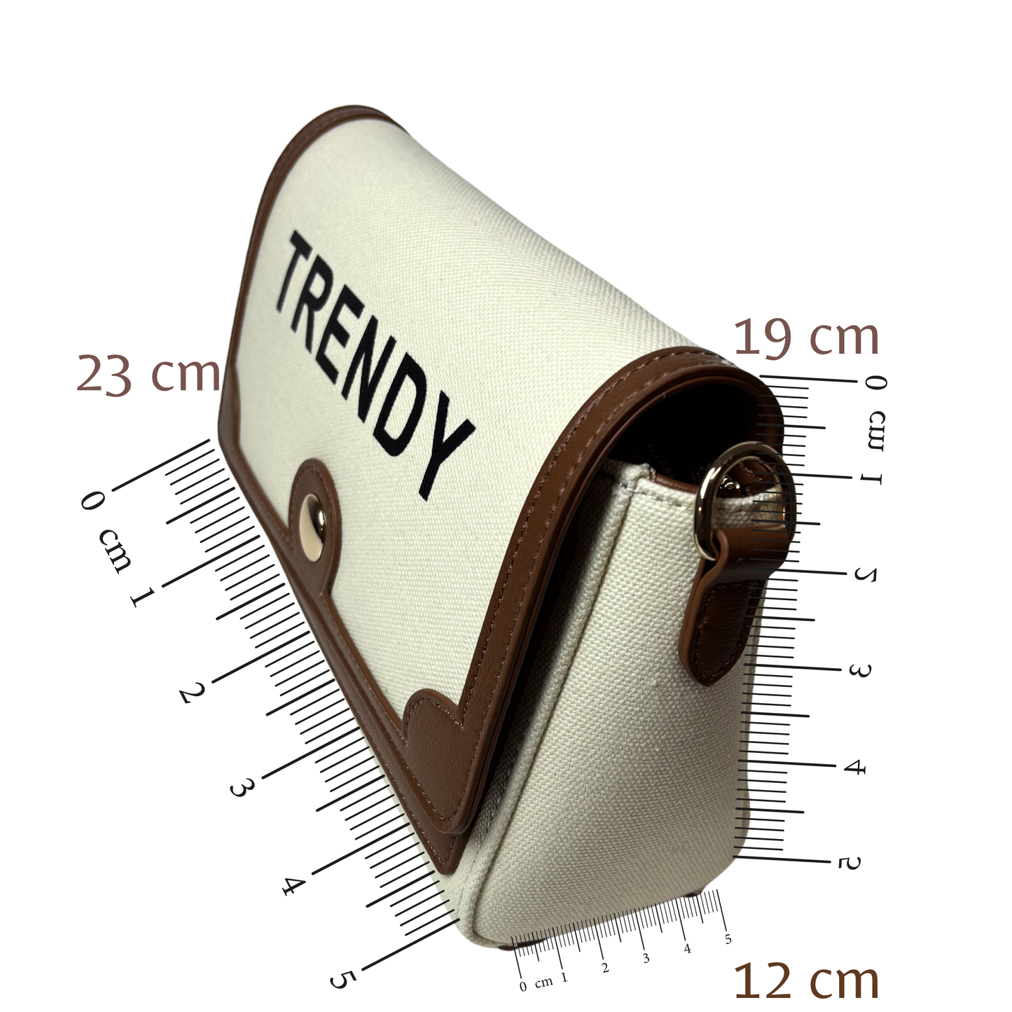 Trendy Black & Brown Shoulder Bag for Women